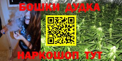 индика Кунгур